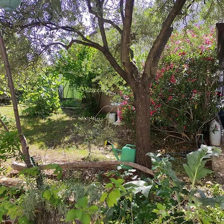 Apartment Valenta Porec